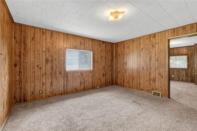 41 Taylor Ave, East Bethlehem, PA 15322 - carpeted spare room featuring healthy amount of natural light and wooden walls