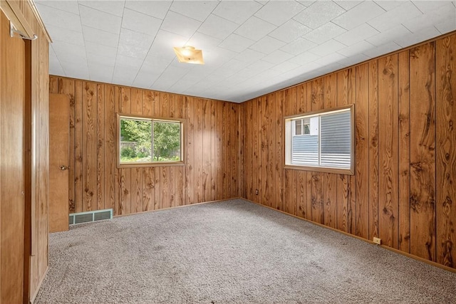 41 Taylor Ave, East Bethlehem, PA 15322 - carpeted spare room with wooden walls