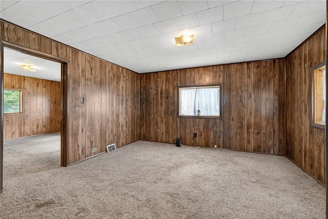 41 Taylor Ave, East Bethlehem, PA 15322 - carpeted empty room with plenty of natural light and wood walls
