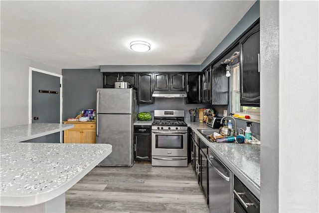 553 Indus St, Greenfield, PA 15207 - kitchen with stainless steel appliances, under cabinet range hood, light wood-style flooring, and light countertops