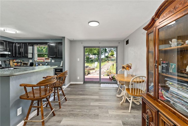 553 Indus St, Greenfield, PA 15207 - kitchen featuring range hood, light wood-style flooring, plenty of natural light, and a breakfast bar