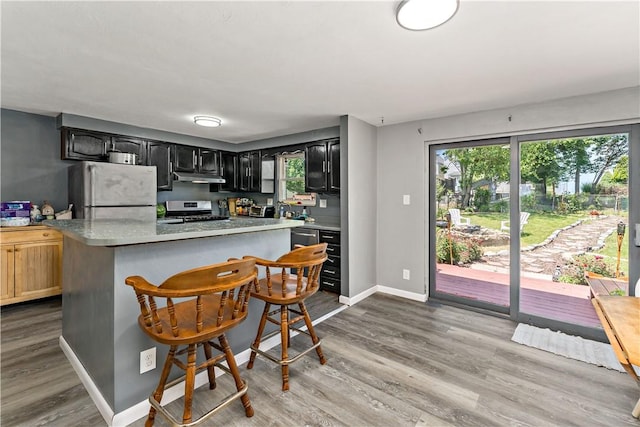 553 Indus St, Greenfield, PA 15207 - kitchen featuring freestanding refrigerator, stainless steel range oven, under cabinet range hood, and wood finished floors