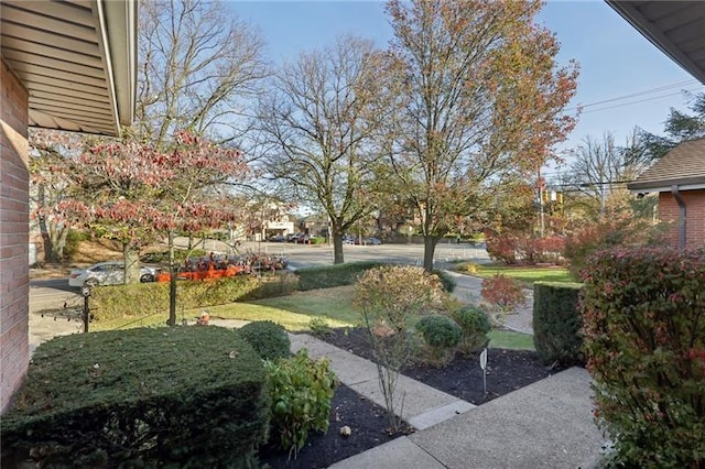 1352 Beechwood Blvd, Shadyside, PA 15217 - photo 3