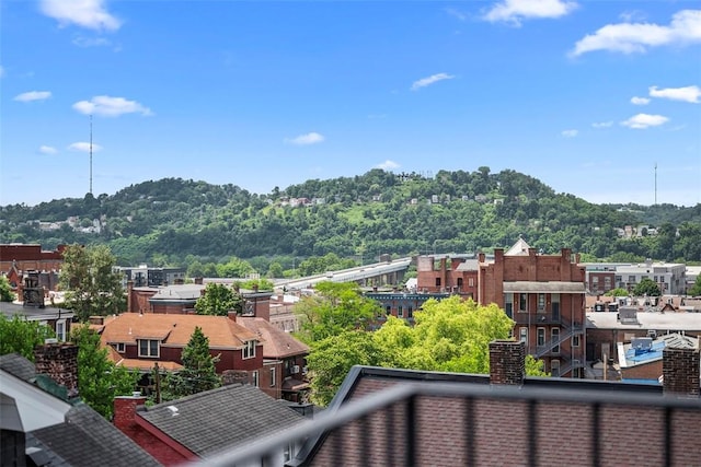 246 42nd St, Lawrenceville, PA 15201 - mountain view