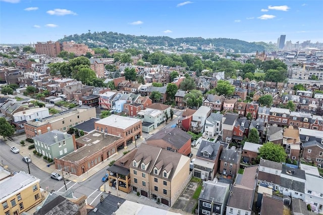 246 42nd St, Lawrenceville, PA 15201 - view of urban area