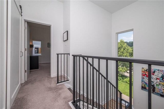 5577 Berlin Way, Lawrenceville, PA 15201 - photo 24