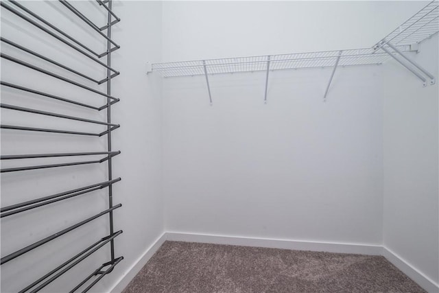 5577 Berlin Way, Lawrenceville, PA 15201 - photo 30