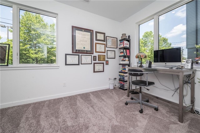 5577 Berlin Way, Lawrenceville, PA 15201 - photo 36
