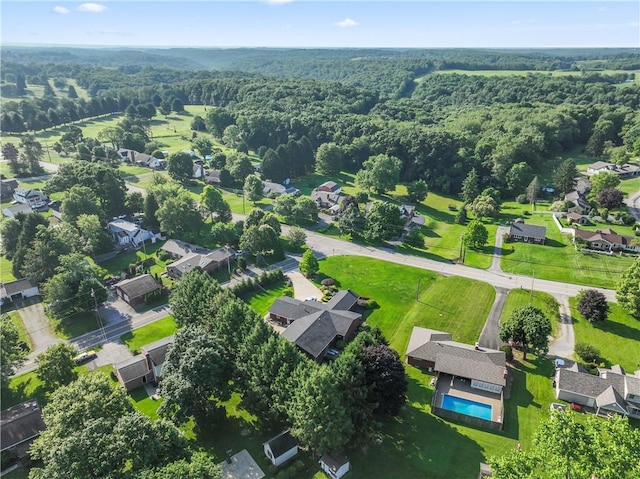 aerial perspective of suburban area with a forest