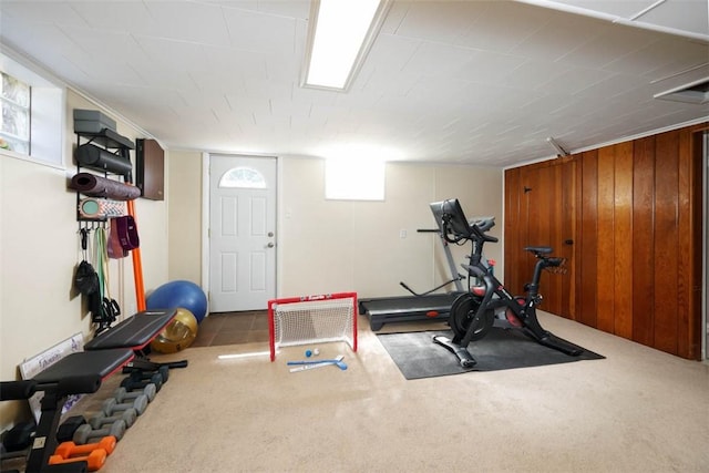 16 Grace Rd, Scottdale, PA 15683 - workout room with carpet floors and wood walls