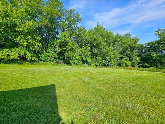1350 Deerfield Rd, South Franklin, PA 15301 - view of grassy yard