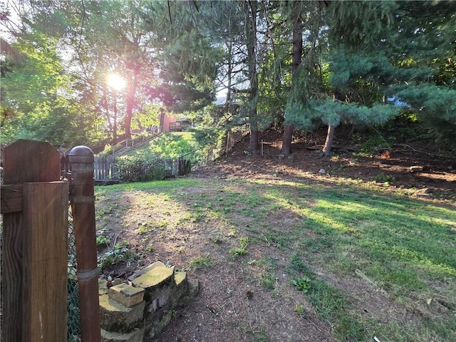 2928 Fernwald Rd, Squirrel Hill, PA 15217 - photo 37
