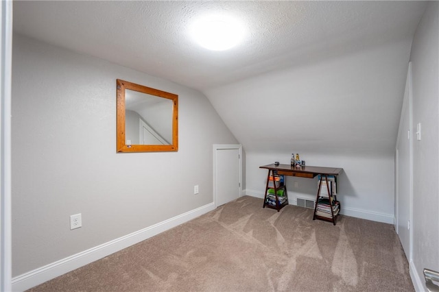 563 Edward St, Derry Twp, PA 15650 - additional living space with lofted ceiling, carpet flooring, and a textured ceiling