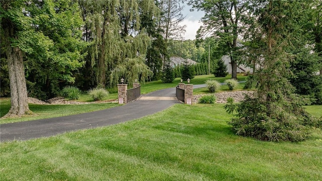 391 Browns Hill Rd, Middlesex Twp, PA 16059 - photo 6