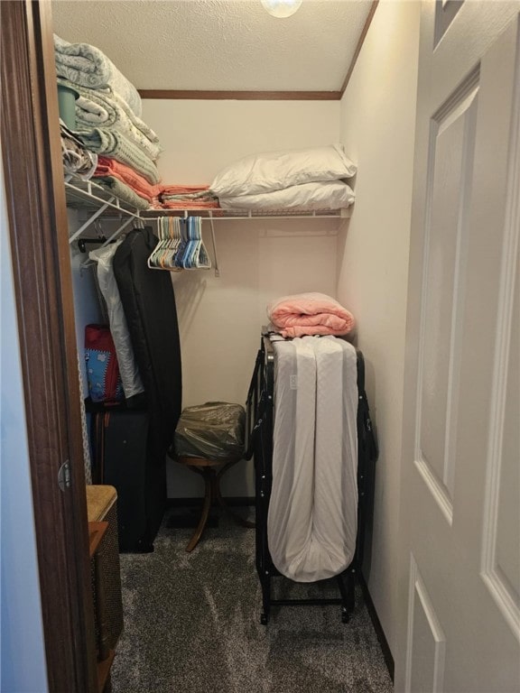 304 Bennington Rd, North Union Twp, PA 15445 - walk in closet featuring carpet floors