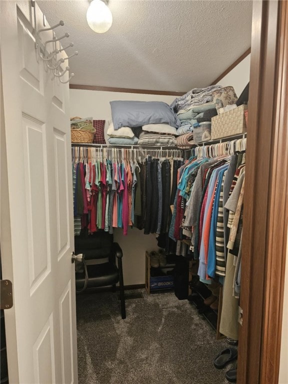 304 Bennington Rd, North Union Twp, PA 15445 - spacious closet with carpet flooring