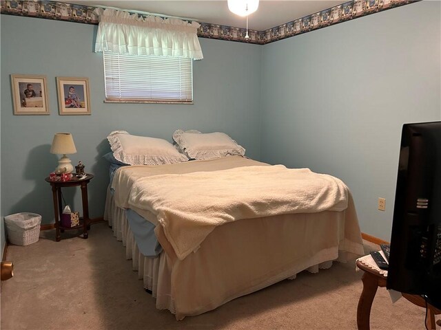 545 Julia Dr, Canonsburg, PA 15317 - photo 12