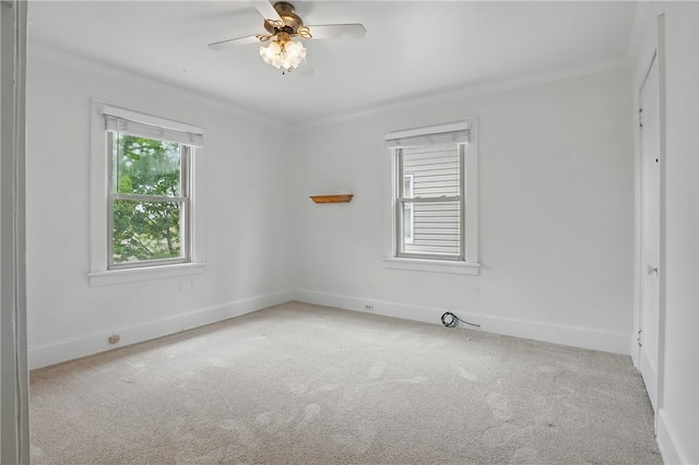 1209 Termon Ave, Brighton Heights, PA 15212 - photo 18