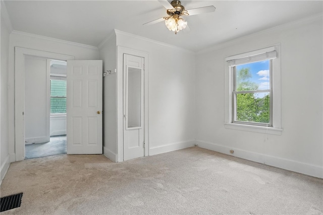 1209 Termon Ave, Brighton Heights, PA 15212 - photo 19