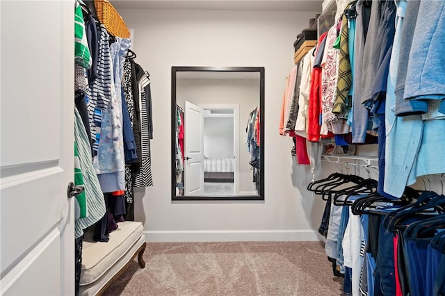 1735 Stevensan Dr, Franklin Park, PA 15143 - spacious closet featuring carpet