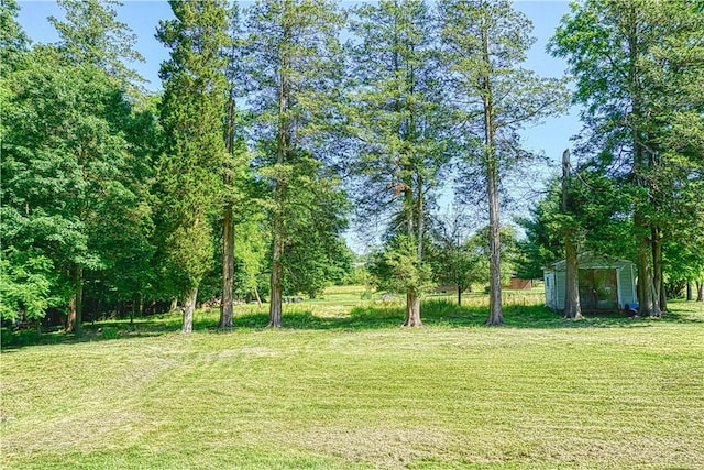 1664 N Main St, Center Twp, PA 16001 - view of green lawn with a storage shed