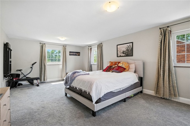 590 Kenilworth Dr, Mt Lebanon, PA 15228 - bedroom featuring multiple windows and carpet flooring