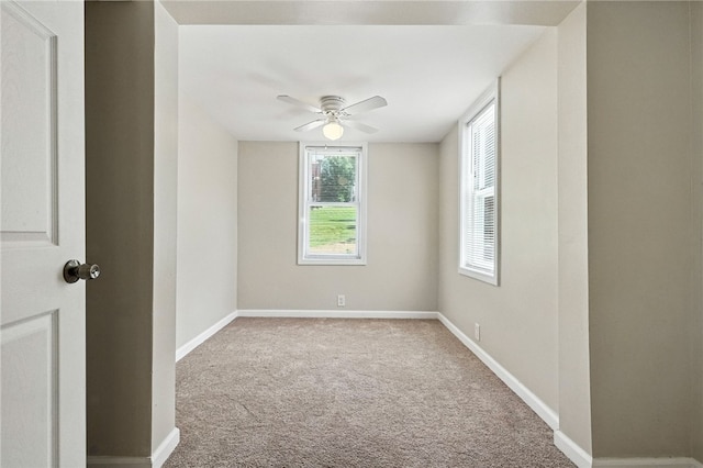 116 Jones Dr, Peters Twp, PA 15317 - photo 17