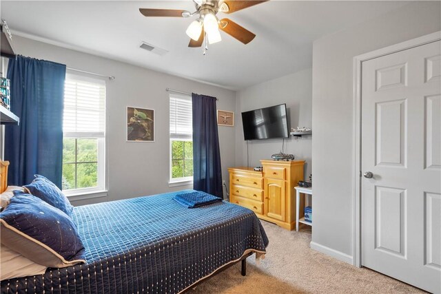 135 Aidan Ct, Brookline, PA 15226 - photo 22