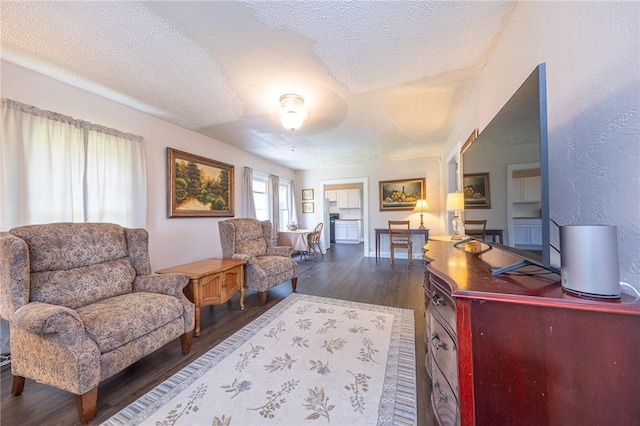 108 Hird Rd, Trafford, PA 15085 - living area featuring a textured ceiling and dark wood-type flooring