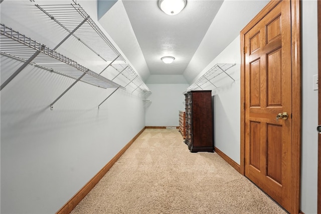1023 Sophia Ln, Adams Twp, PA 16046 - spacious closet with light carpet