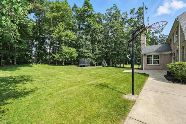 1023 Sophia Ln, Adams Twp, PA 16046 - view of grassy yard featuring a trampoline