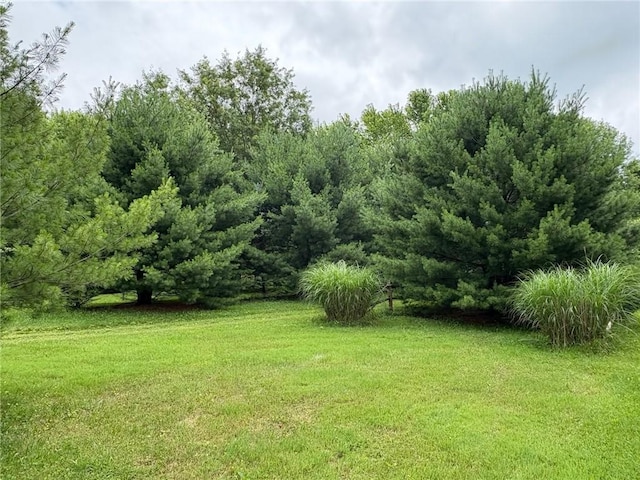 1530 Washington Rd, Washington Twp, PA 15613 - view of green lawn
