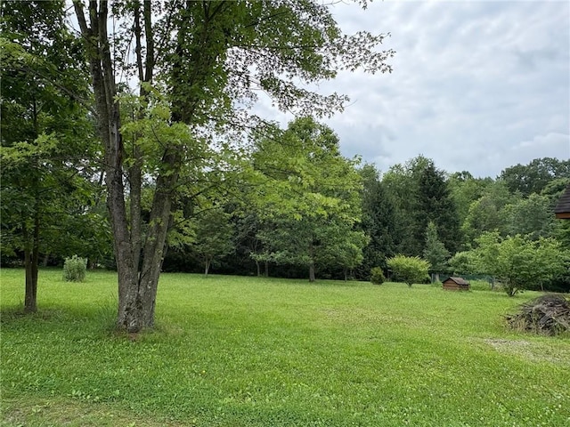 1530 Washington Rd, Washington Twp, PA 15613 - view of green lawn