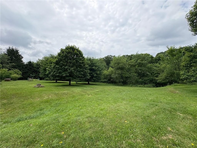 1530 Washington Rd, Washington Twp, PA 15613 - view of grassy yard with a wooded view