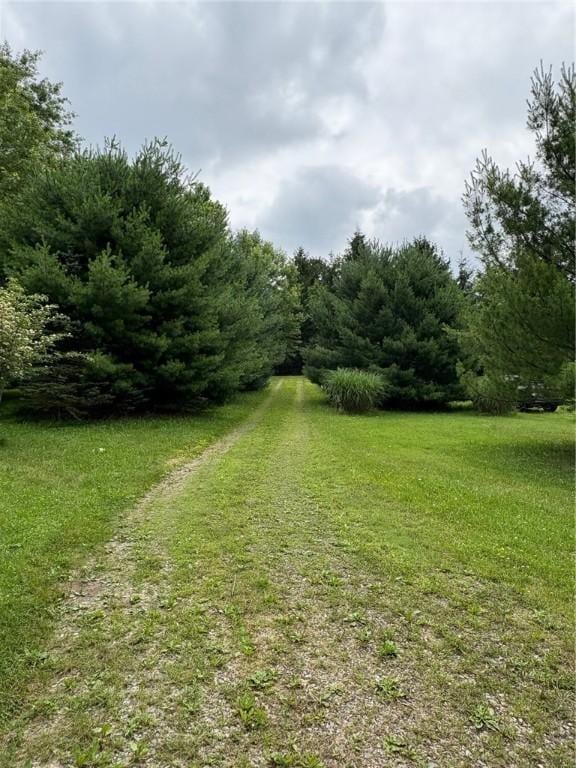 1530 Washington Rd, Washington Twp, PA 15613 - view of grassy yard