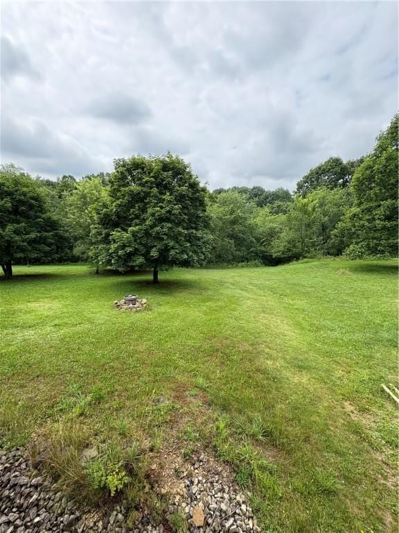 1530 Washington Rd, Washington Twp, PA 15613 - view of green lawn featuring a wooded view