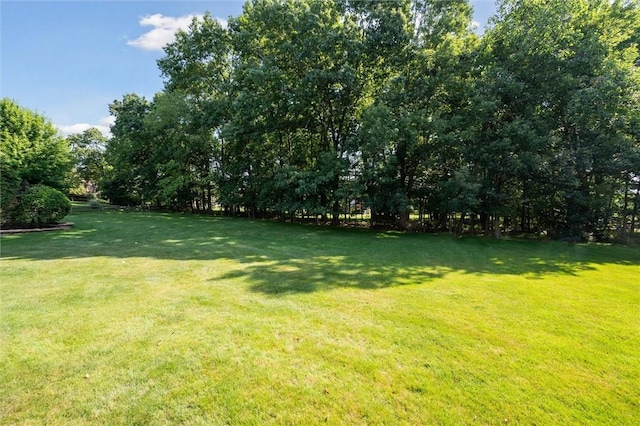 205 Elmhurst Cir, Cranberry Twp, PA 16066 - view of green lawn