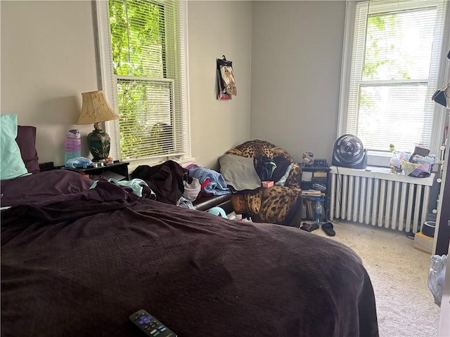150 N Ave E, Pittsburgh, PA 15112 - bedroom with carpet flooring