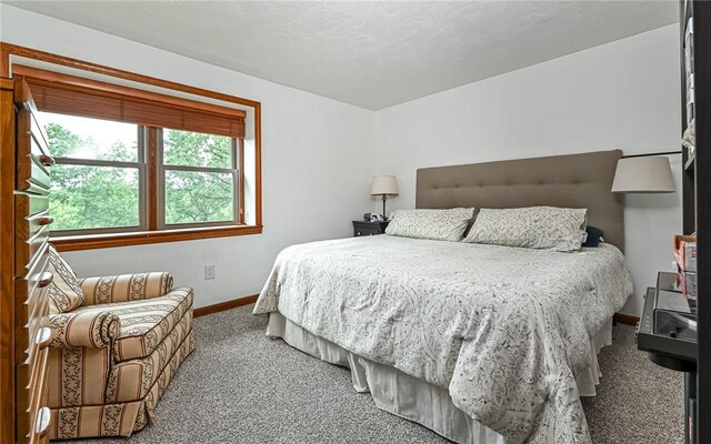 4252 Forest Gln, Hampton, PA 15101 - photo 31