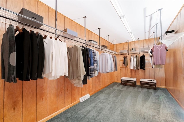 125 Jackson St, White Twp, PA 15701 - spacious closet featuring carpet floors