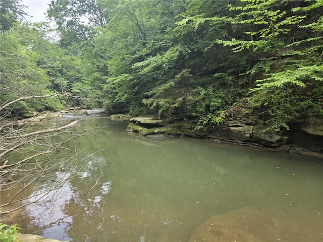 223 Park Ave, Bruin Boro, PA 16022 - water view with a forest