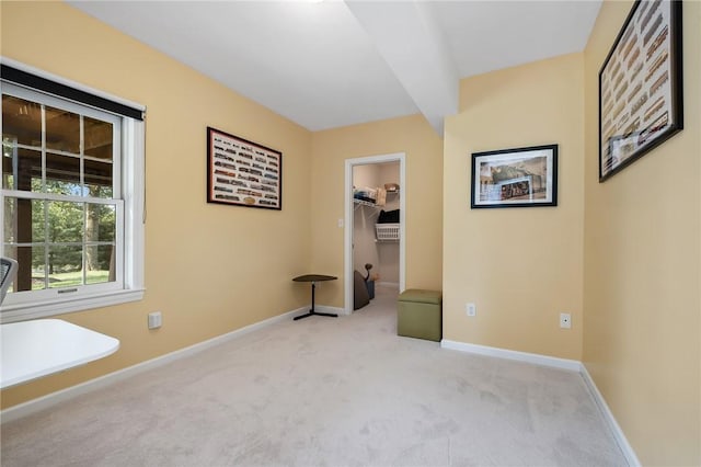 1100 Eleanor Pl, Adams Twp, PA 15044 - unfurnished bedroom featuring carpet and a walk in closet