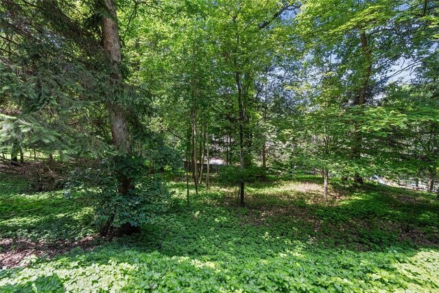 9807 Woodland Rd N, Mccandless, PA 15237 - photo 28