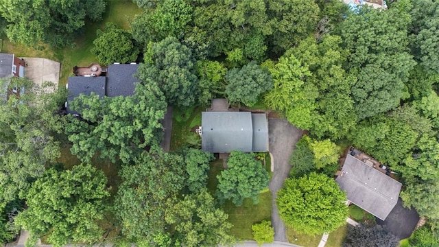 9807 Woodland Rd N, Mccandless, PA 15237 - photo 29