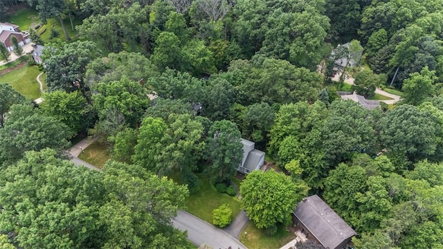 9807 Woodland Rd N, Mccandless, PA 15237 - photo 30