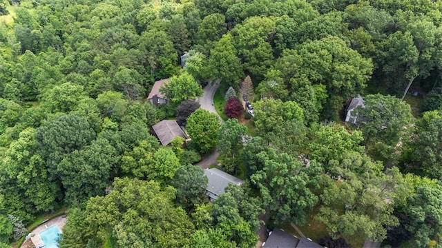 9807 Woodland Rd N, Mccandless, PA 15237 - photo 31
