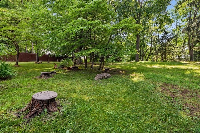 125 Irene Dr, Penn Twp, PA 15642 - photo 29