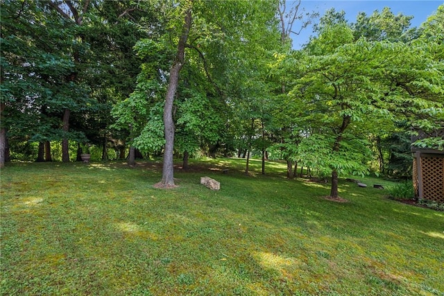 125 Irene Dr, Penn Twp, PA 15642 - photo 30