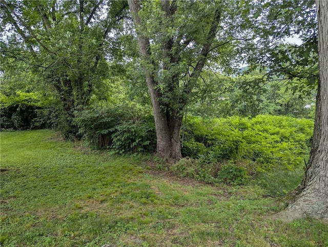 279 Greensburg Pike N, Versailles, PA 15137 - photo 25