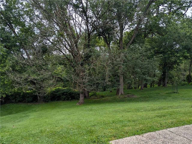 279 Greensburg Pike N, Versailles, PA 15137 - photo 27